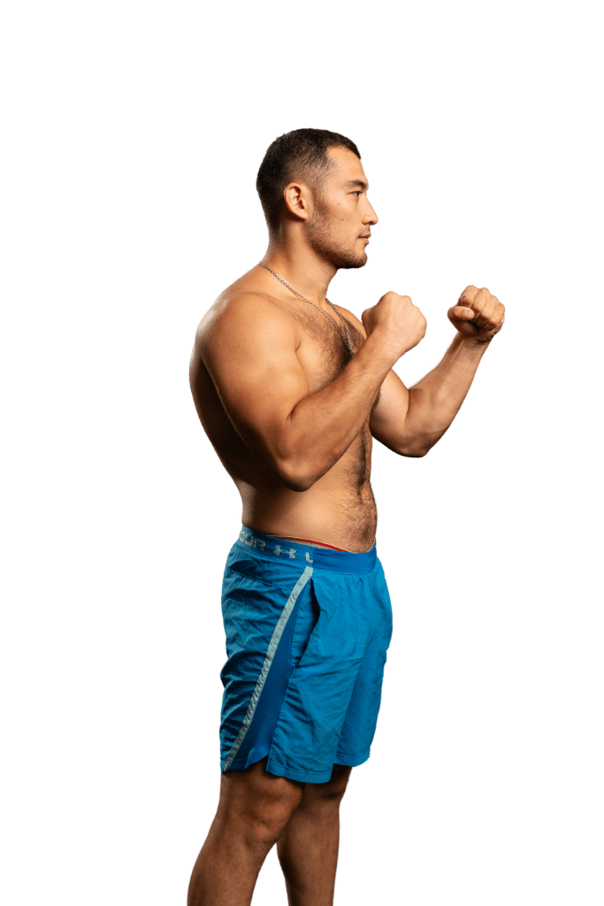 Fighter image
