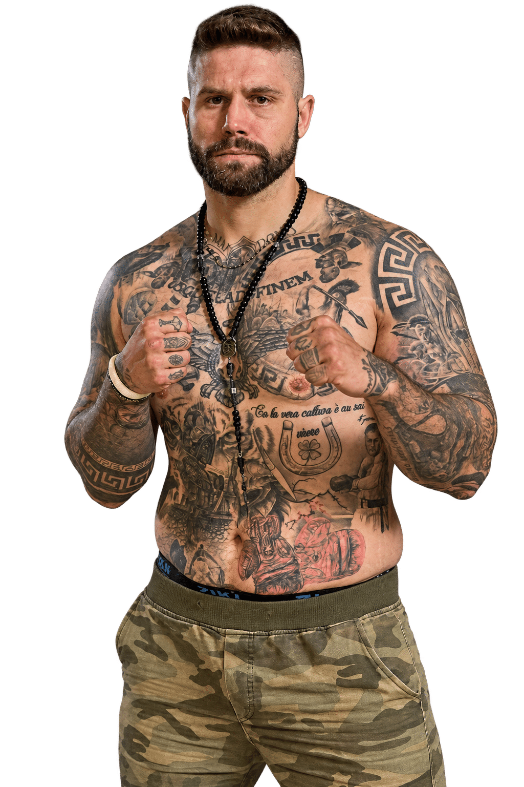 Fighter image